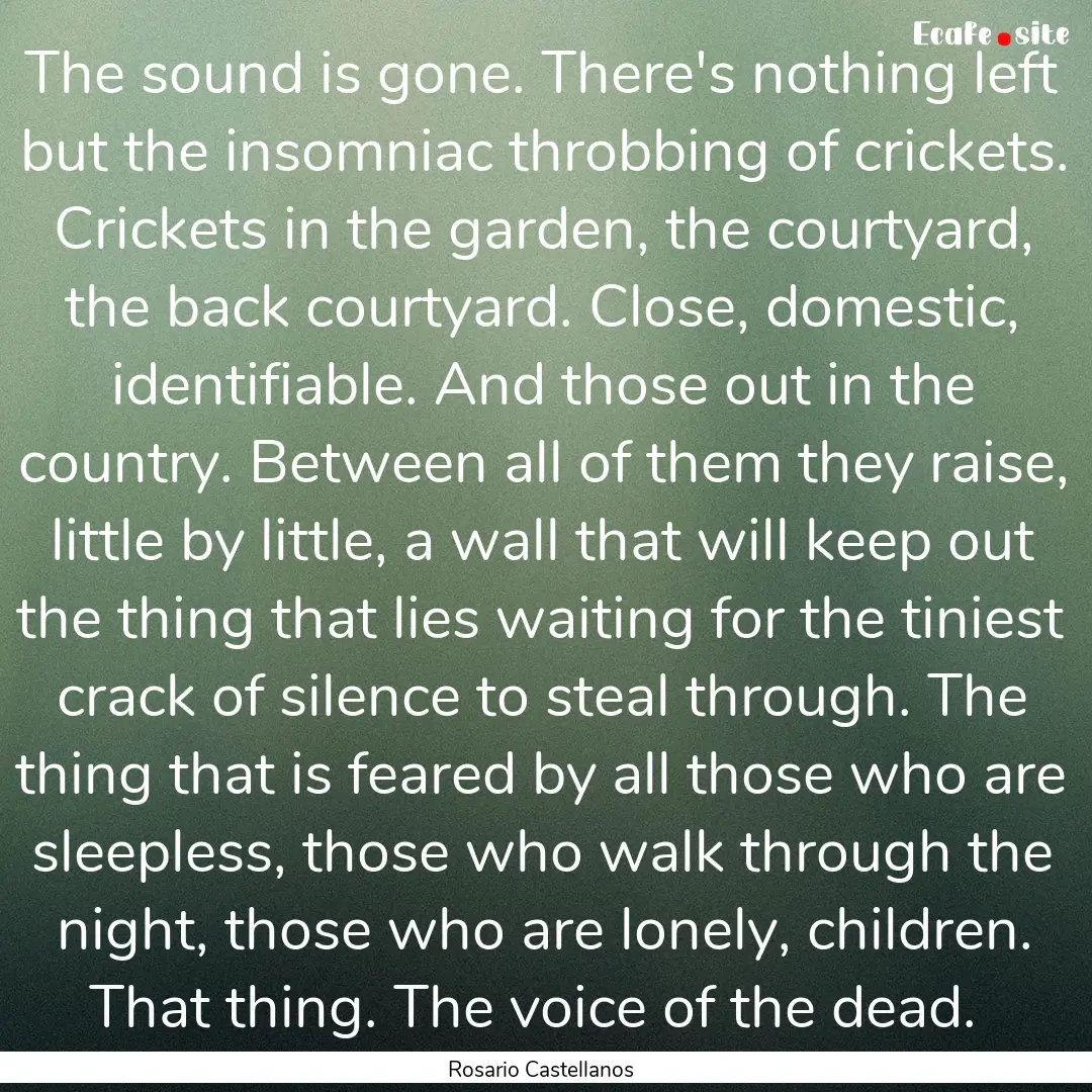 The sound is gone. There's nothing left but.... : Quote by Rosario Castellanos