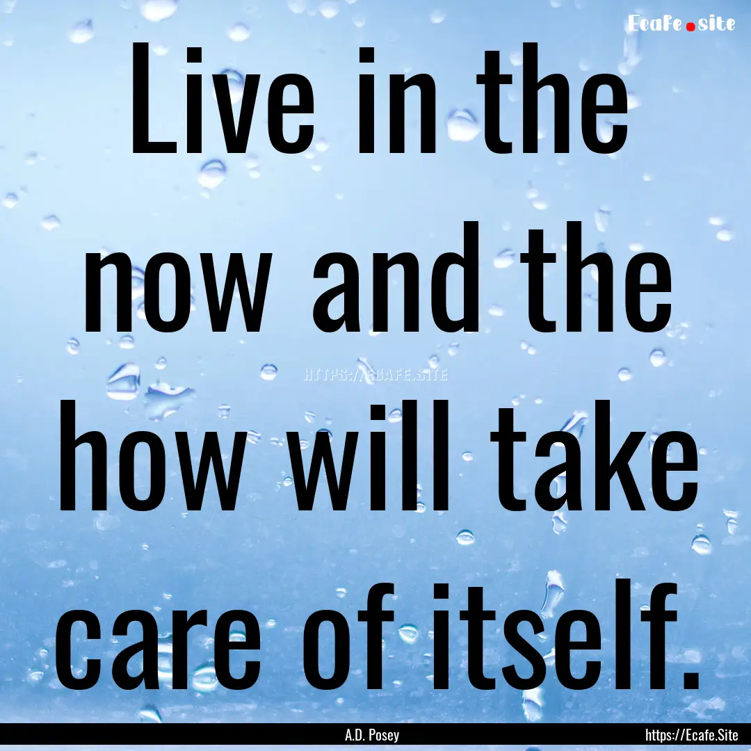 Live in the now and the how will take care.... : Quote by A.D. Posey