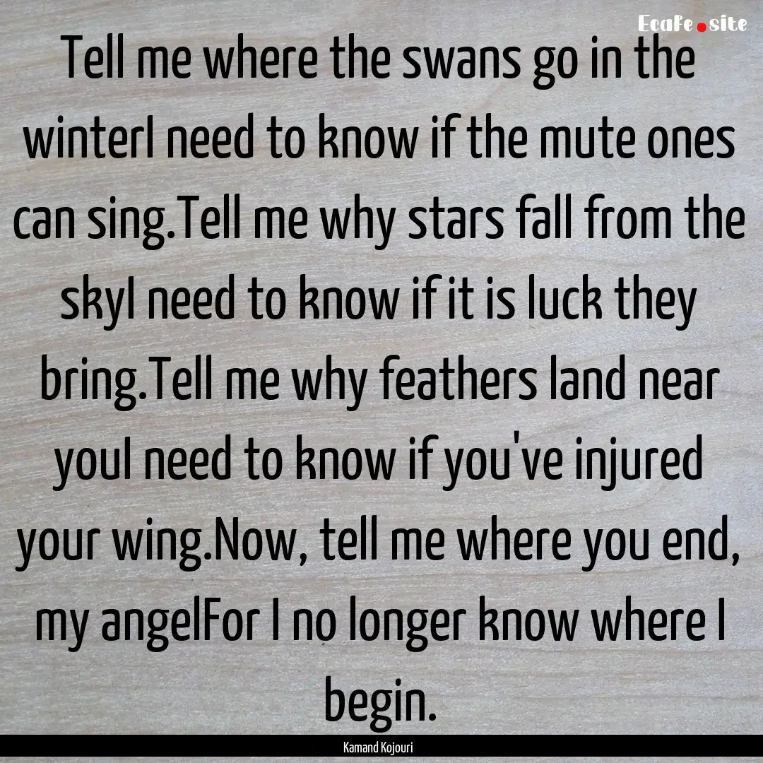 Tell me where the swans go in the winterI.... : Quote by Kamand Kojouri