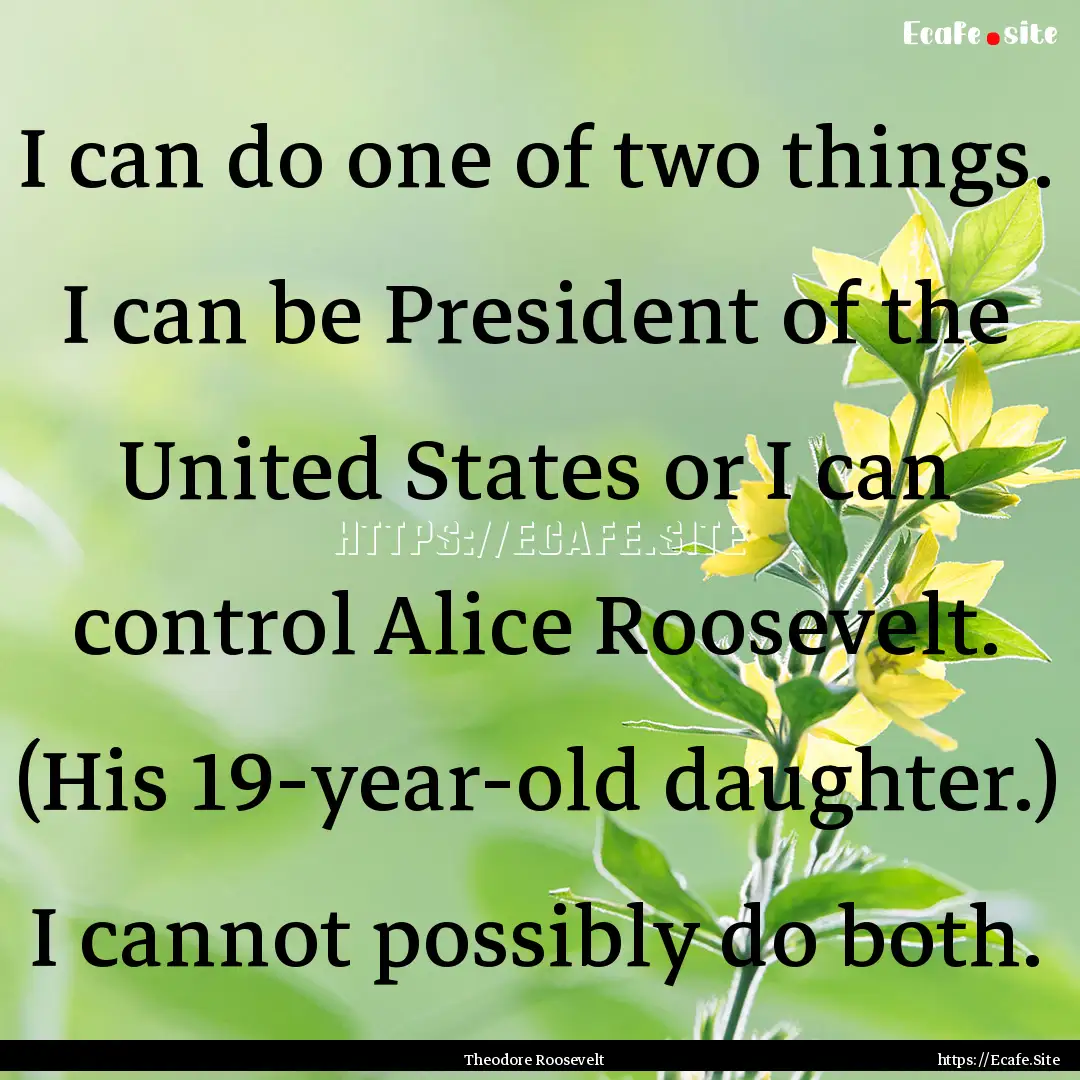 I can do one of two things. I can be President.... : Quote by Theodore Roosevelt