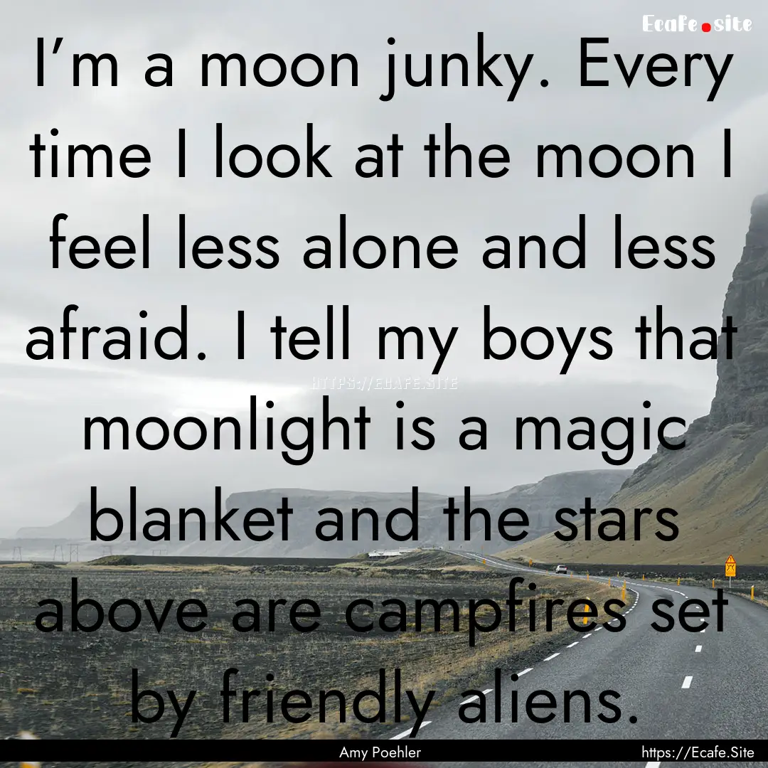 I’m a moon junky. Every time I look at.... : Quote by Amy Poehler