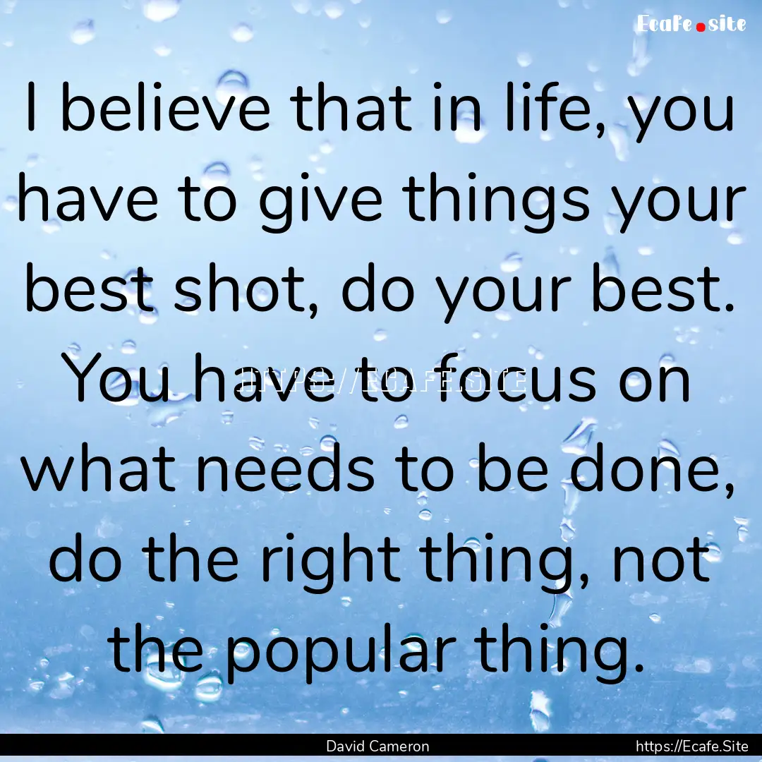 I believe that in life, you have to give.... : Quote by David Cameron