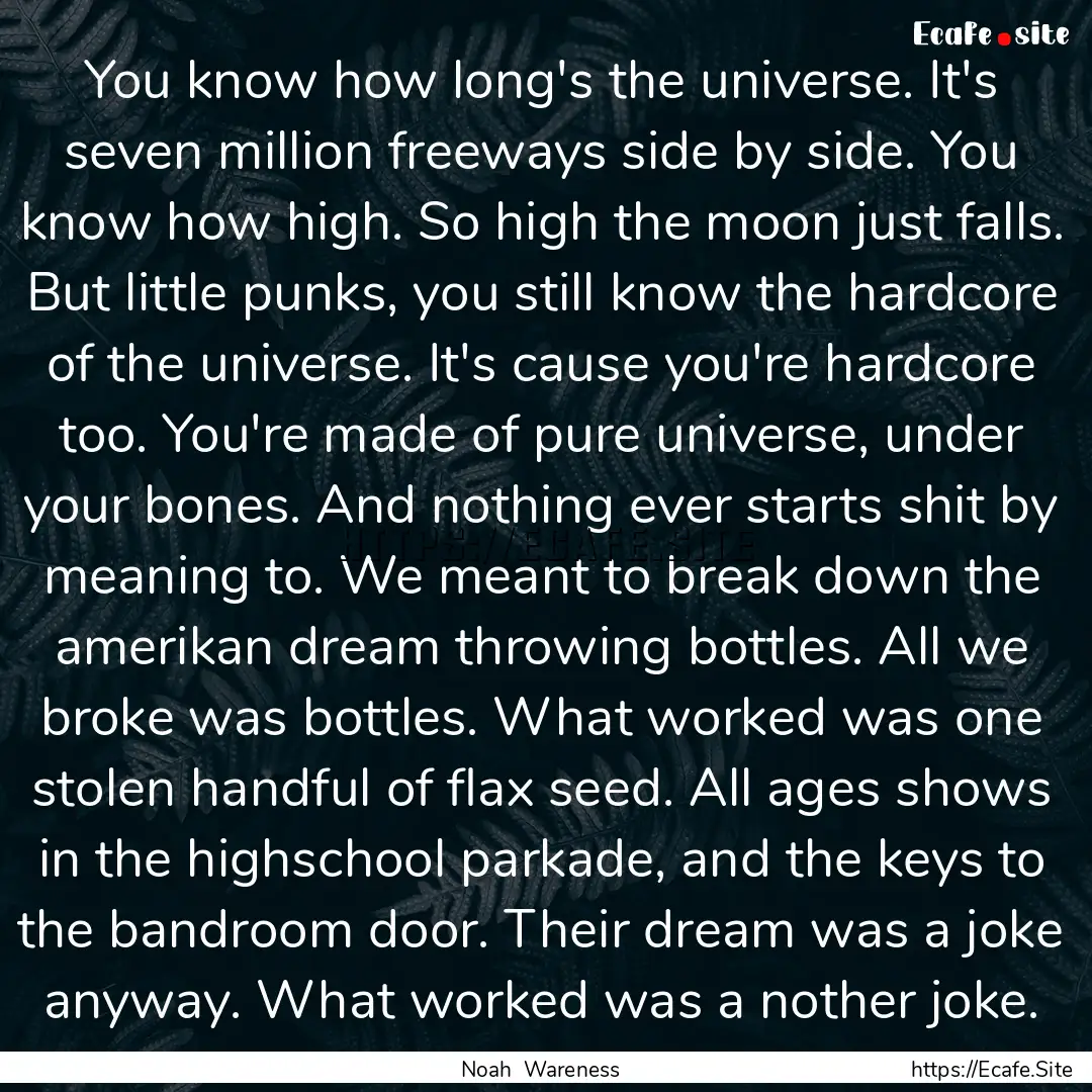 You know how long's the universe. It's seven.... : Quote by Noah Wareness