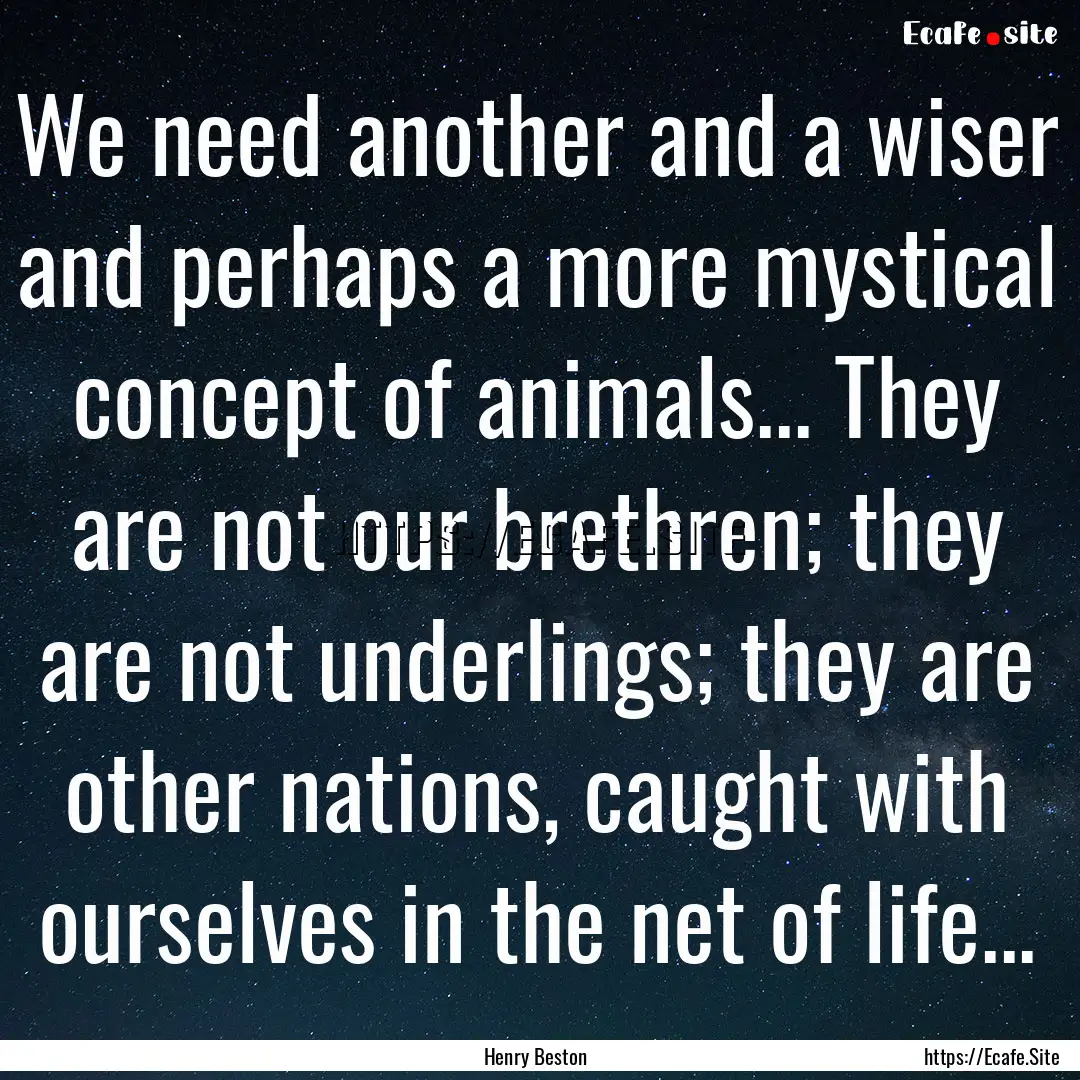 We need another and a wiser and perhaps a.... : Quote by Henry Beston