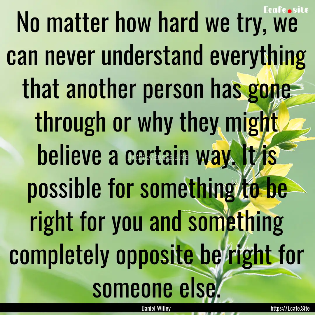 No matter how hard we try, we can never understand.... : Quote by Daniel Willey