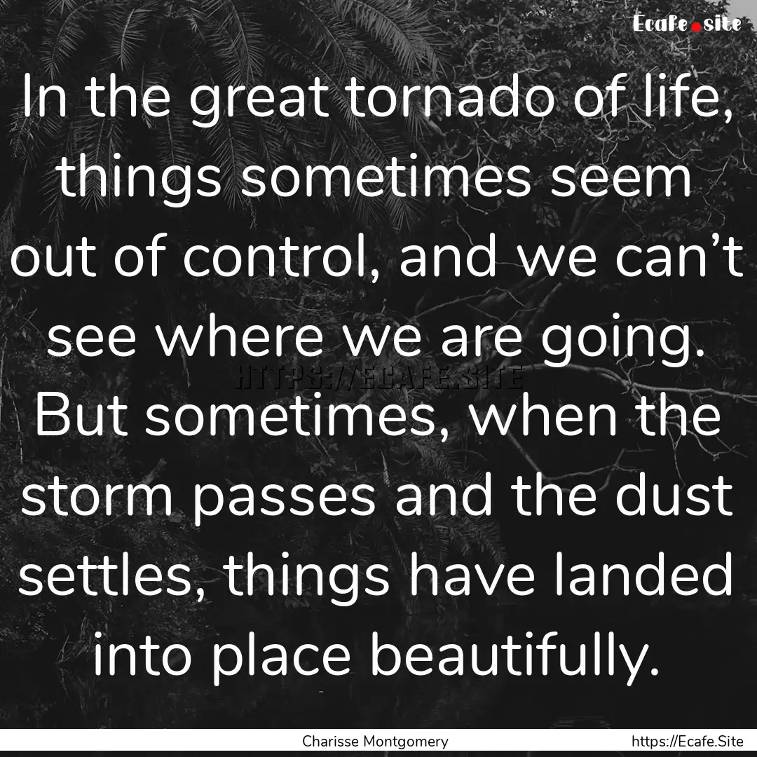 In the great tornado of life, things sometimes.... : Quote by Charisse Montgomery