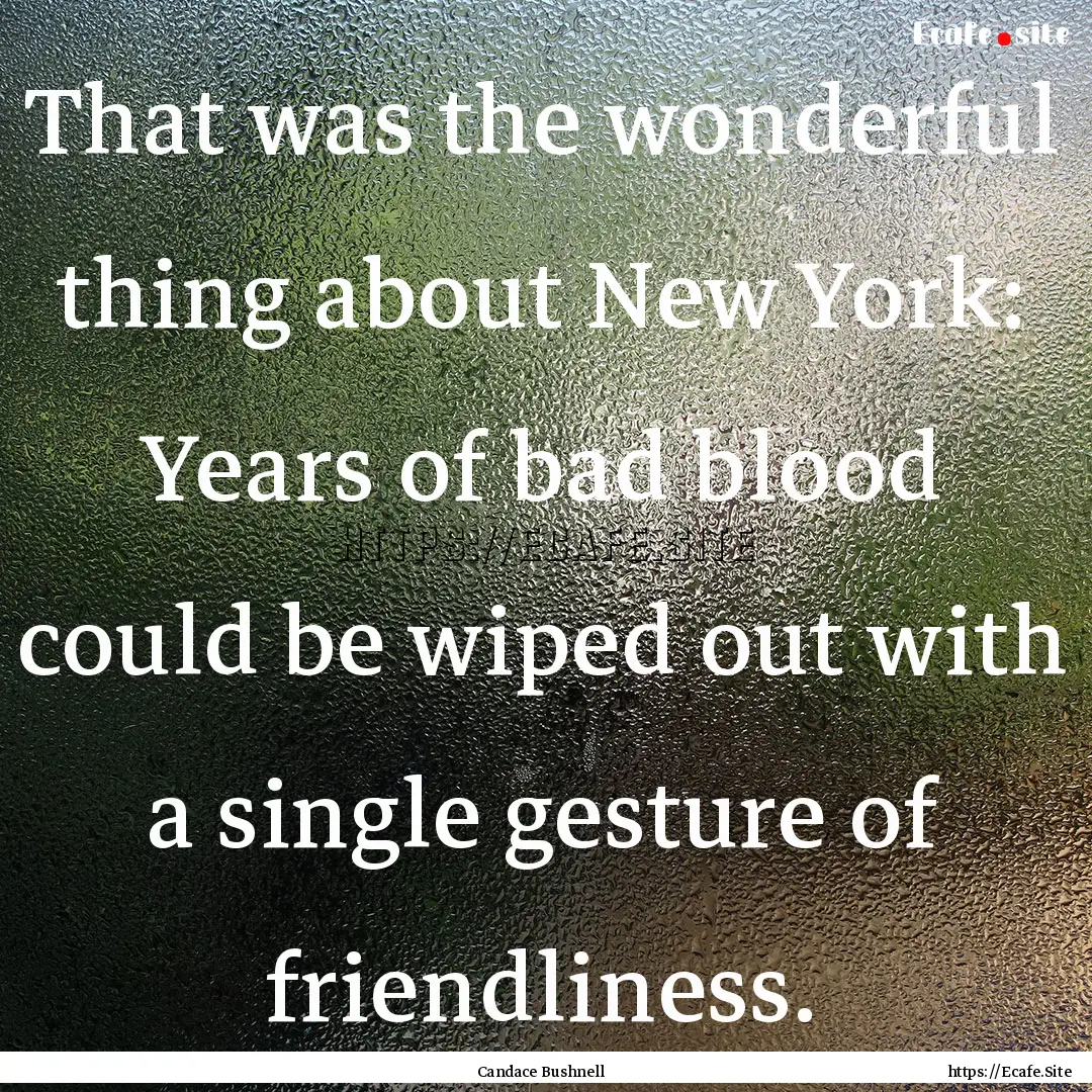 That was the wonderful thing about New York:.... : Quote by Candace Bushnell