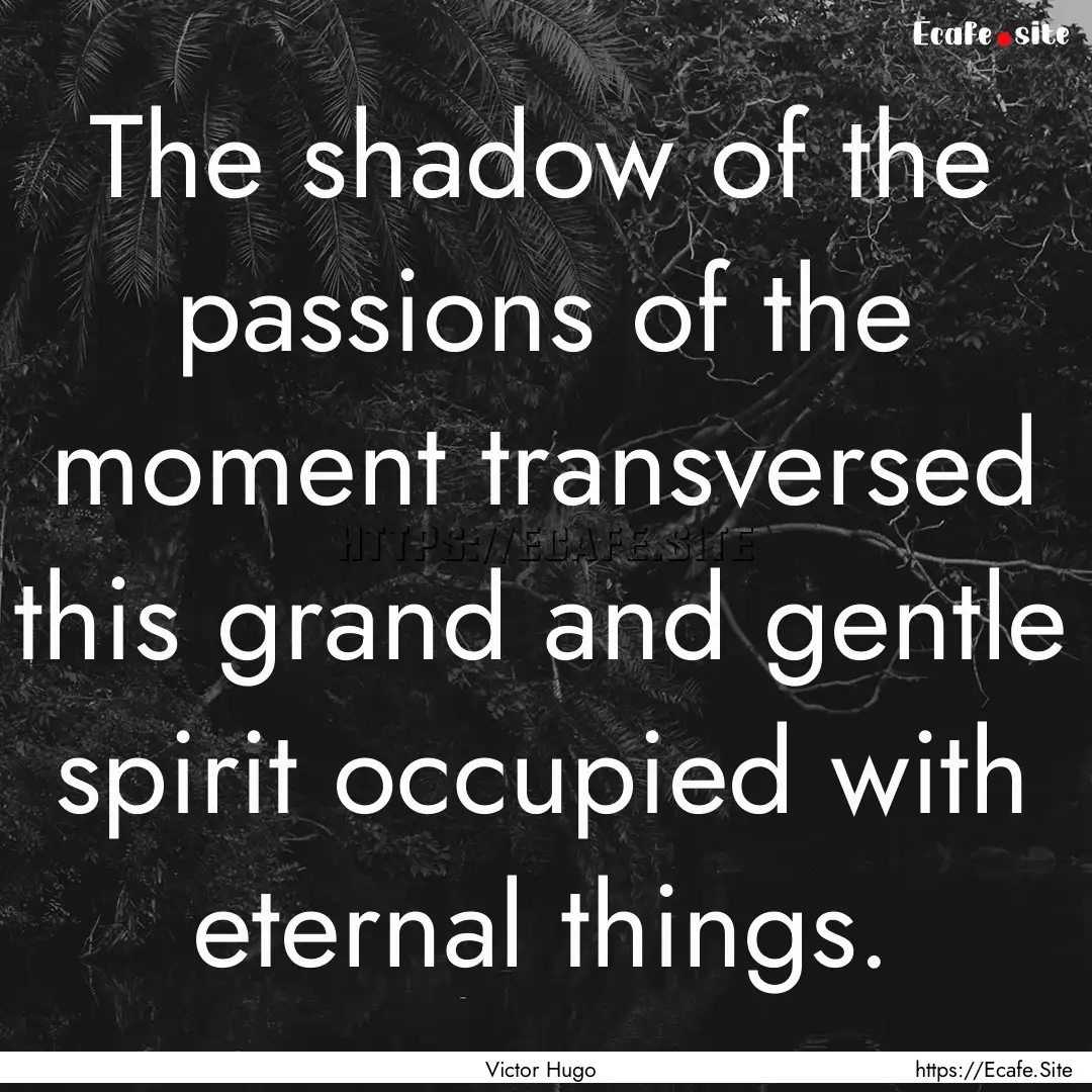 The shadow of the passions of the moment.... : Quote by Victor Hugo