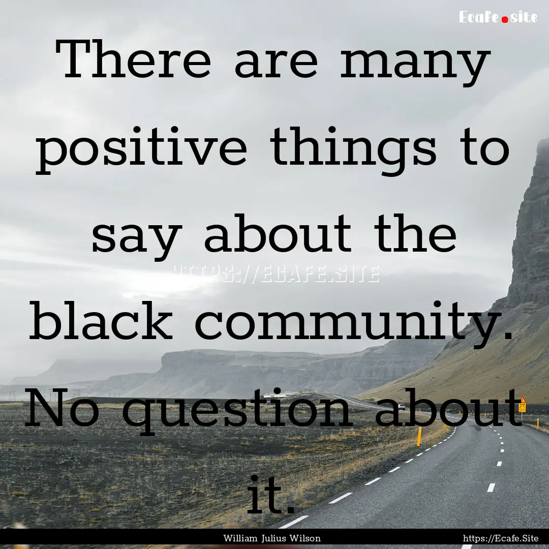 There are many positive things to say about.... : Quote by William Julius Wilson