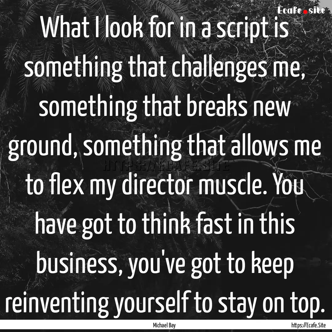 What I look for in a script is something.... : Quote by Michael Bay