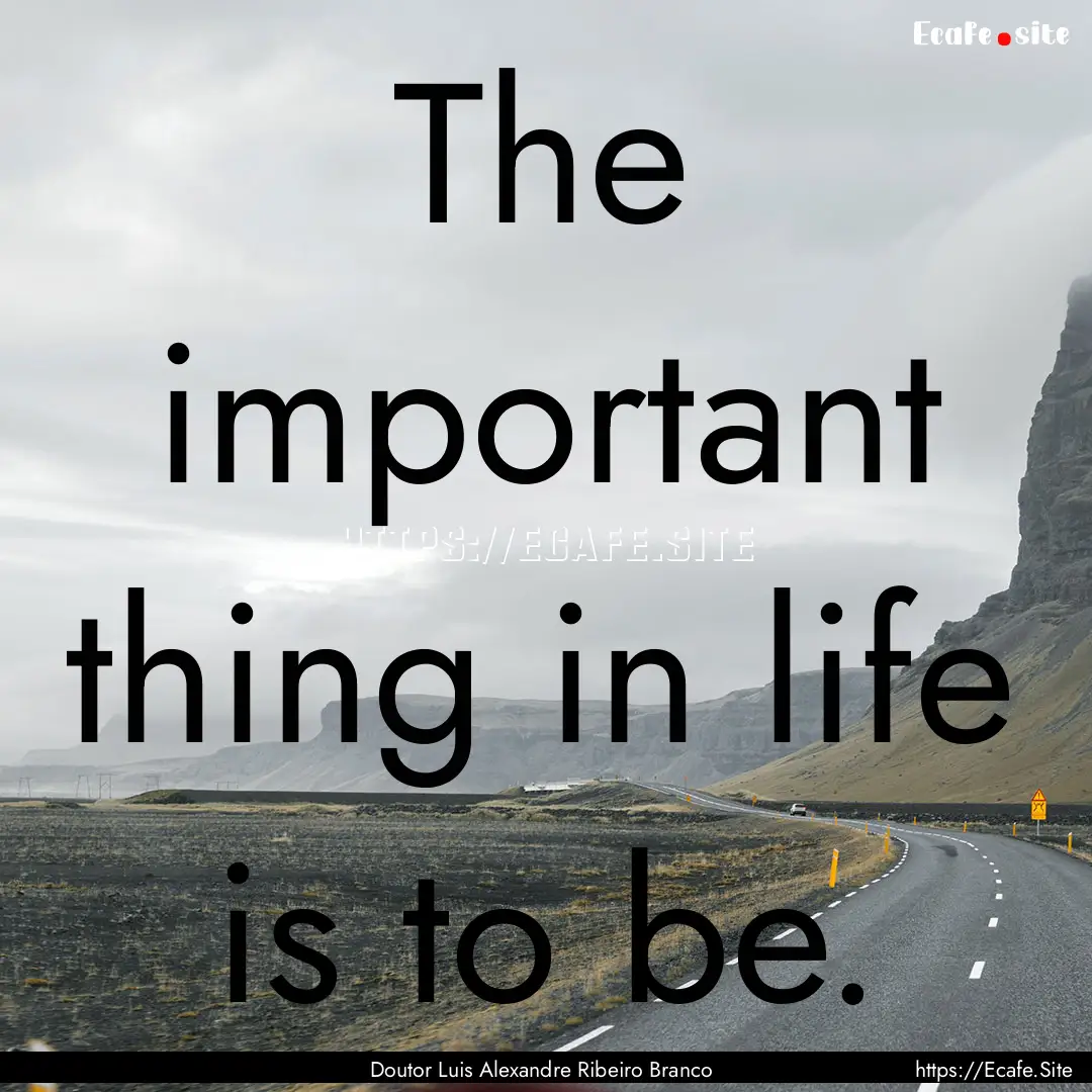 The important thing in life is to be. : Quote by Doutor Luis Alexandre Ribeiro Branco