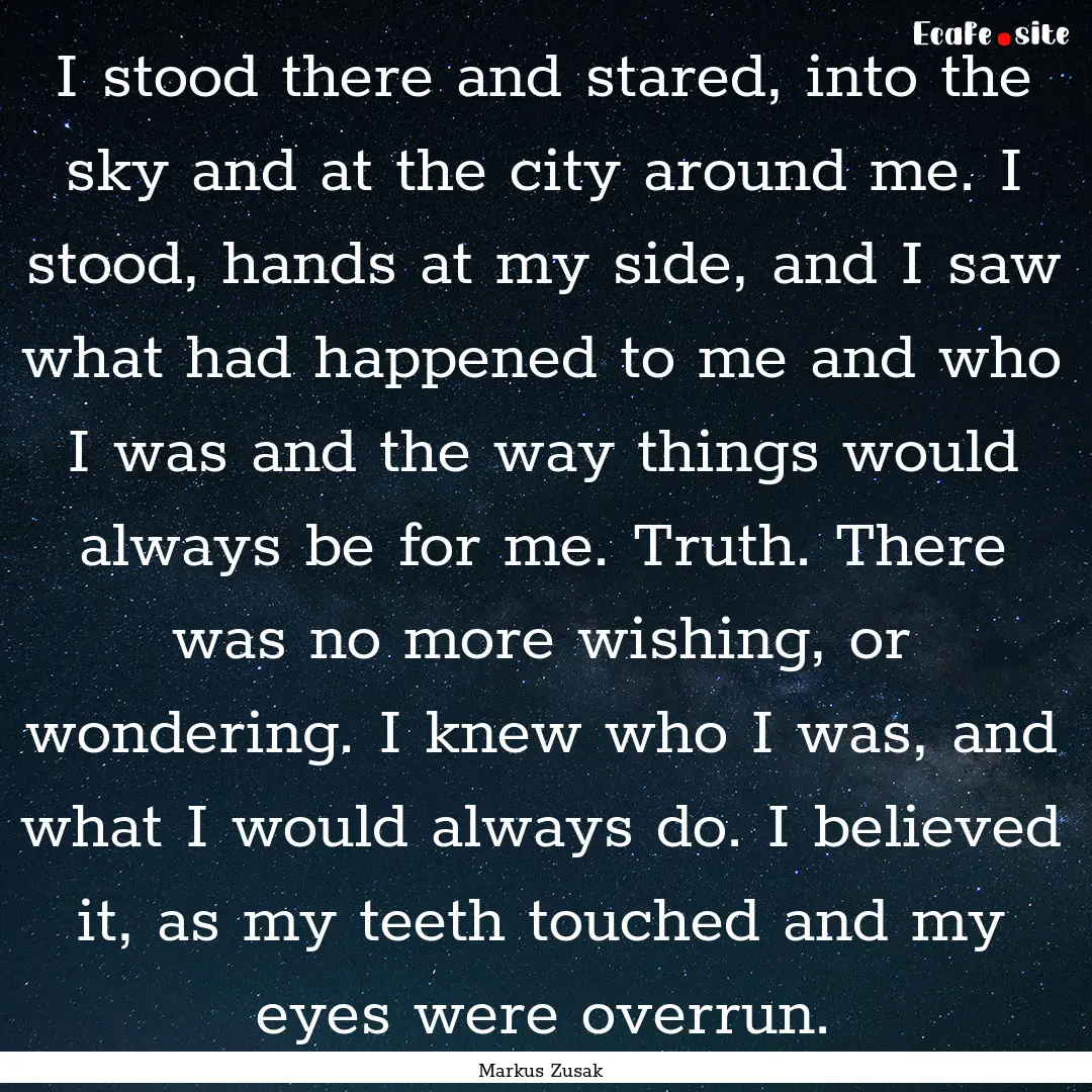 I stood there and stared, into the sky and.... : Quote by Markus Zusak