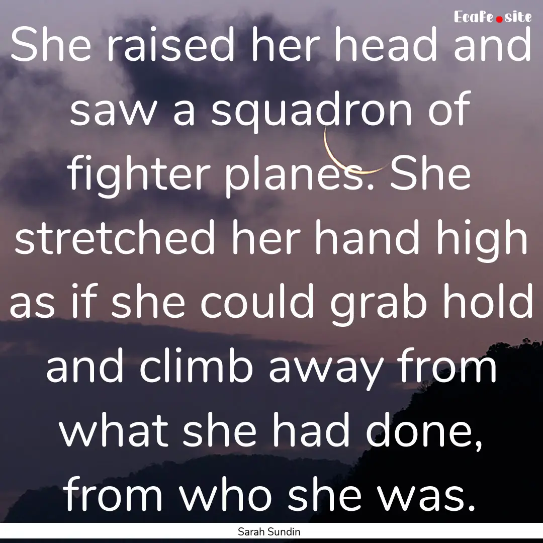 She raised her head and saw a squadron of.... : Quote by Sarah Sundin