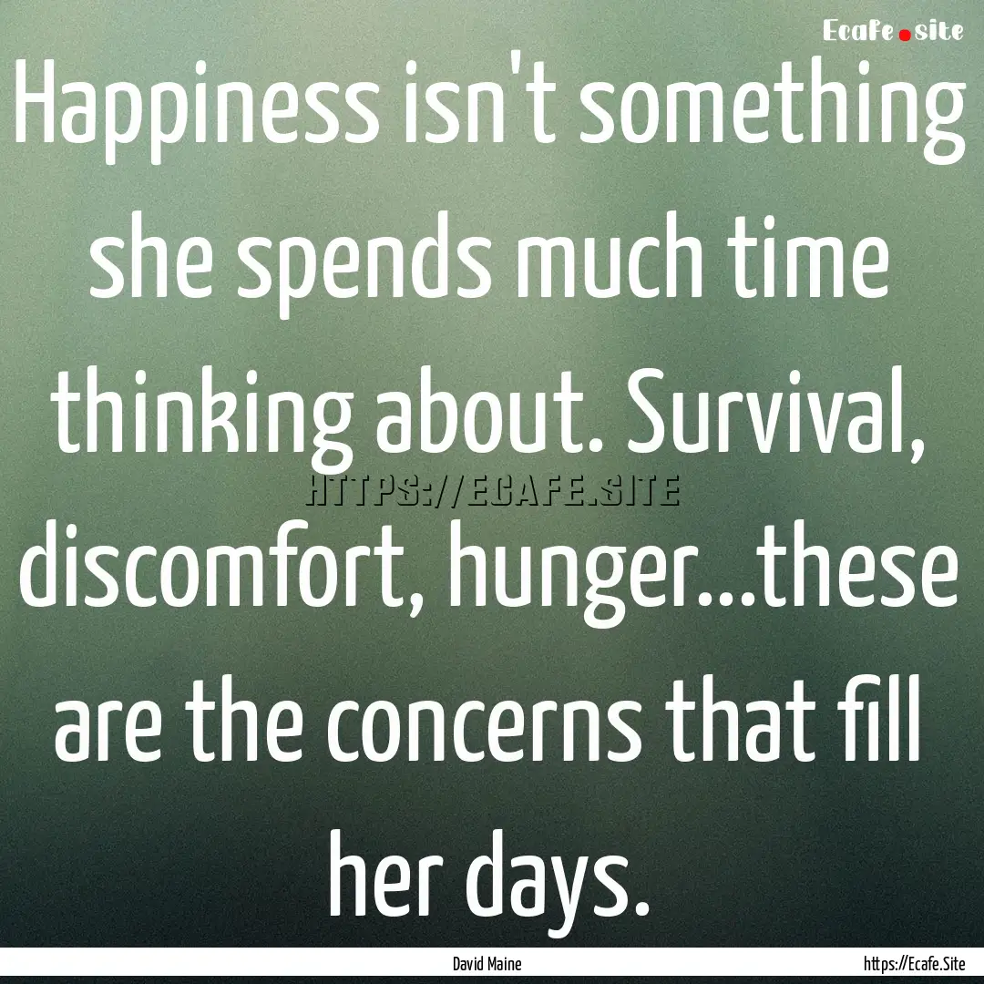 Happiness isn't something she spends much.... : Quote by David Maine