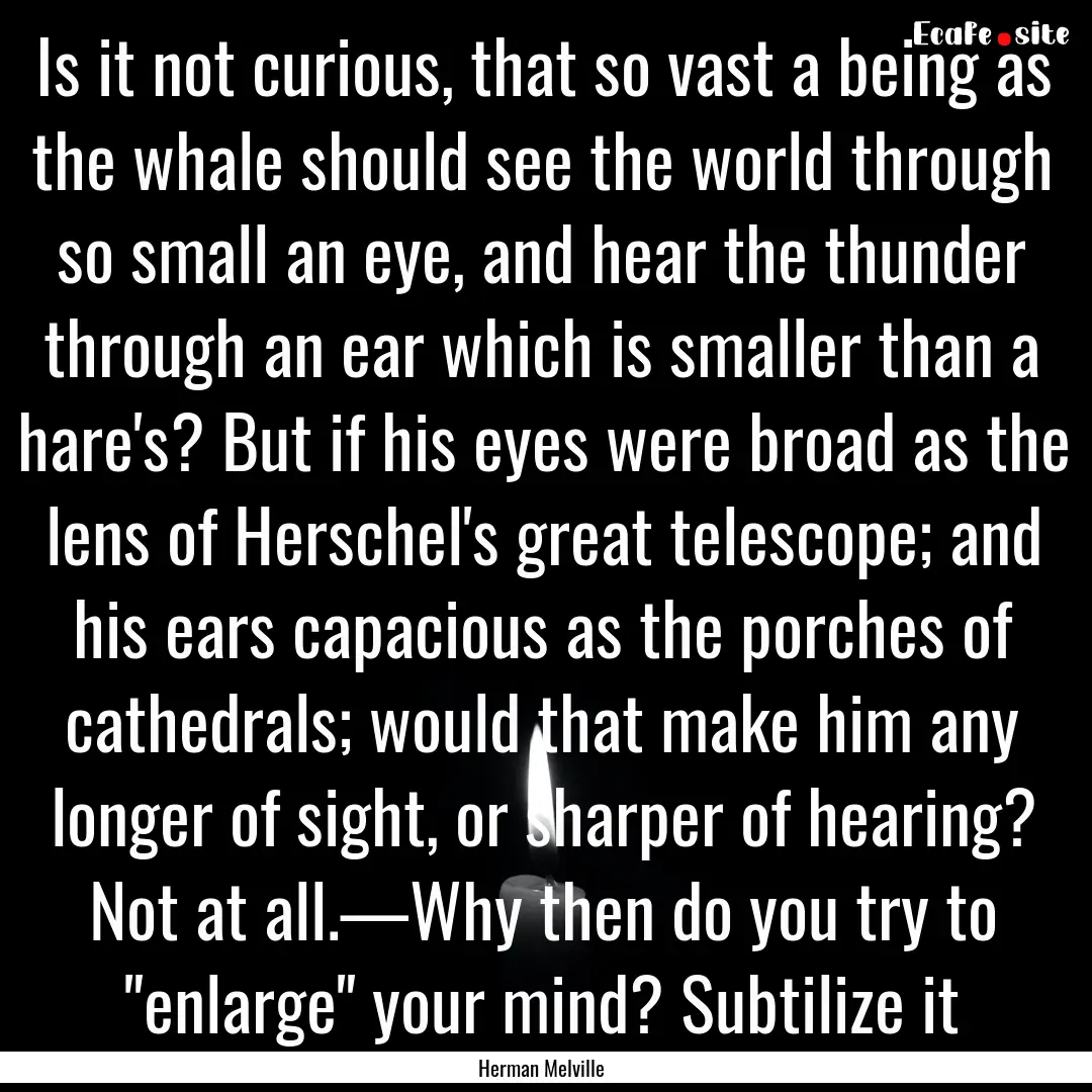 Is it not curious, that so vast a being as.... : Quote by Herman Melville