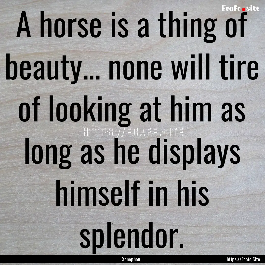 A horse is a thing of beauty... none will.... : Quote by Xenophon