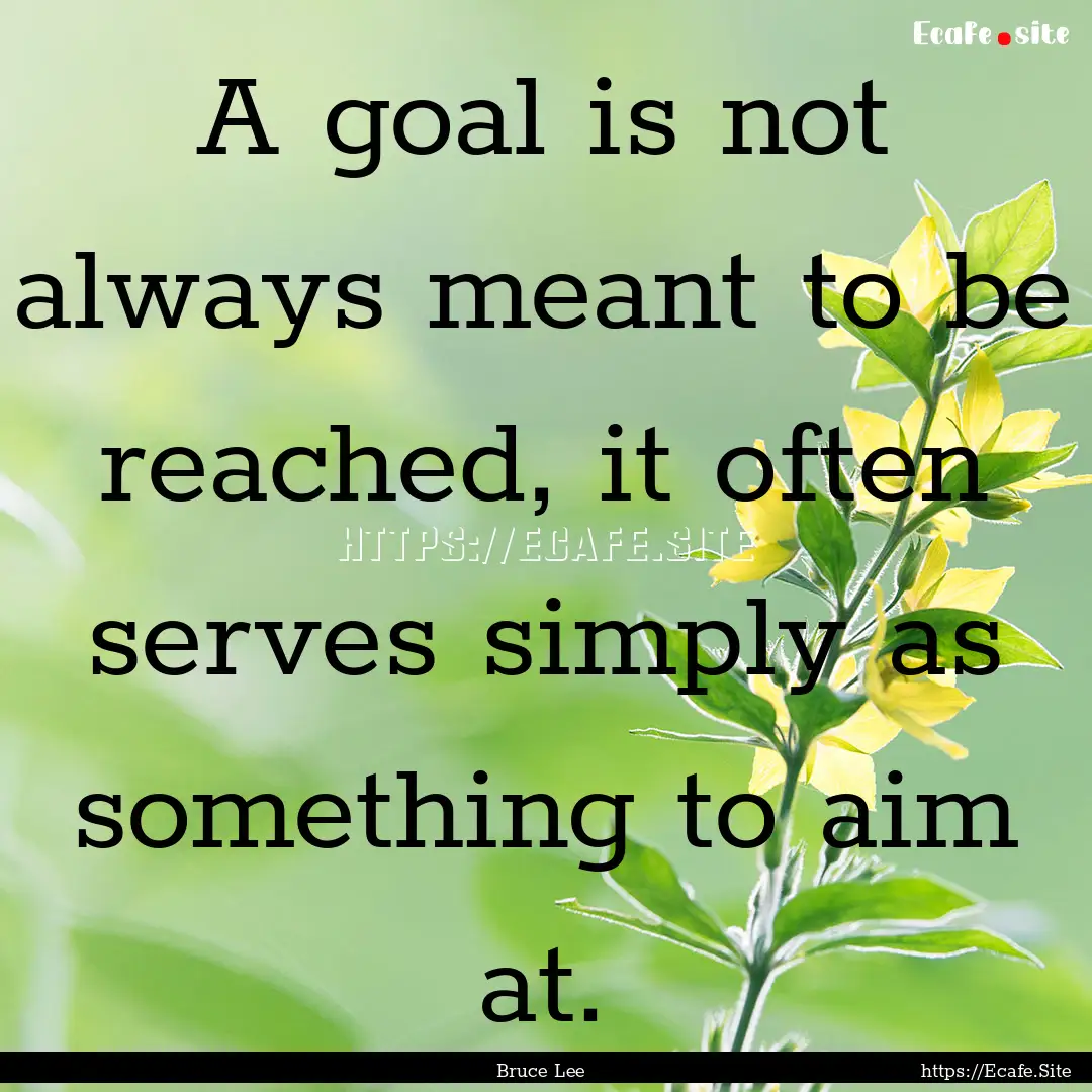 A goal is not always meant to be reached,.... : Quote by Bruce Lee