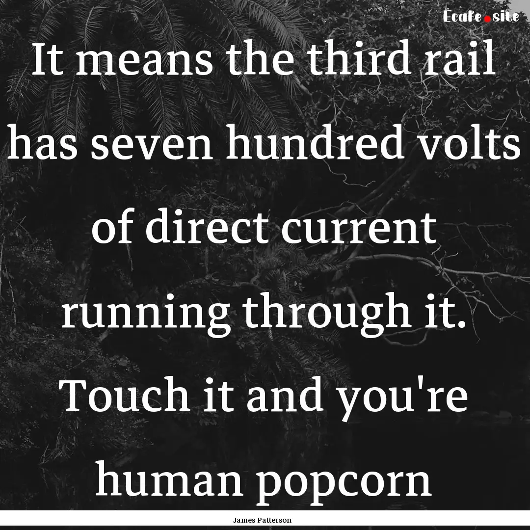 It means the third rail has seven hundred.... : Quote by James Patterson