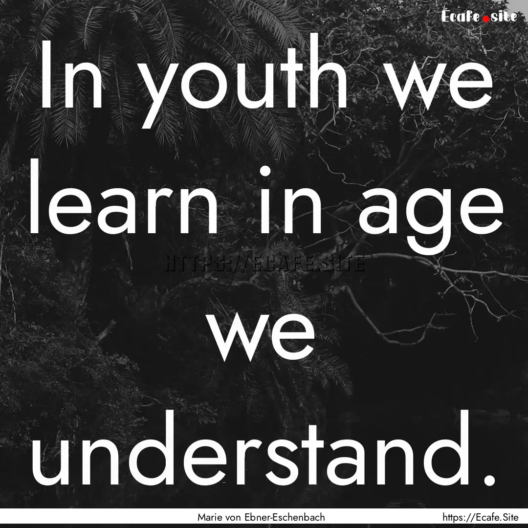 In youth we learn in age we understand. : Quote by Marie von Ebner-Eschenbach