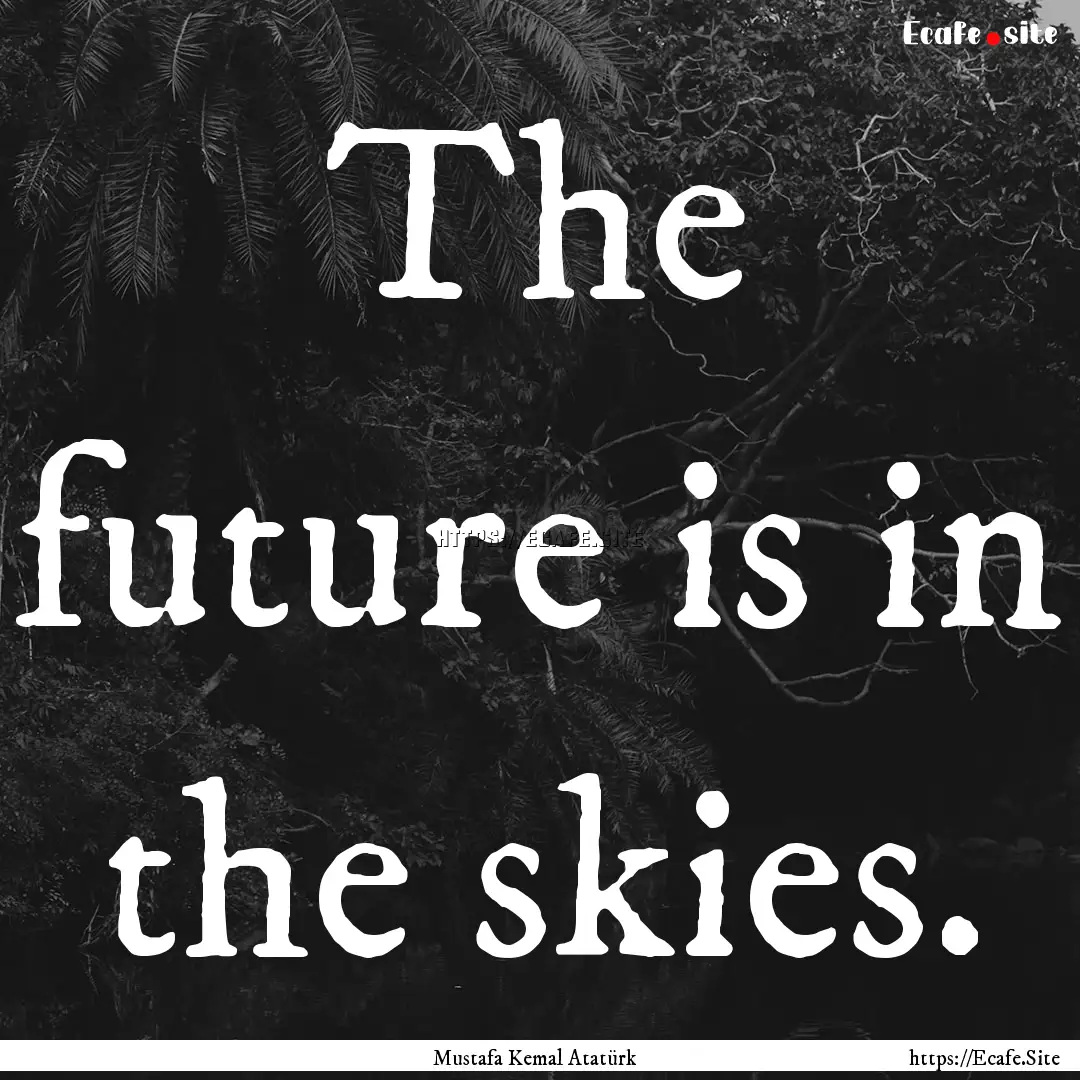 The future is in the skies. : Quote by Mustafa Kemal Atatürk