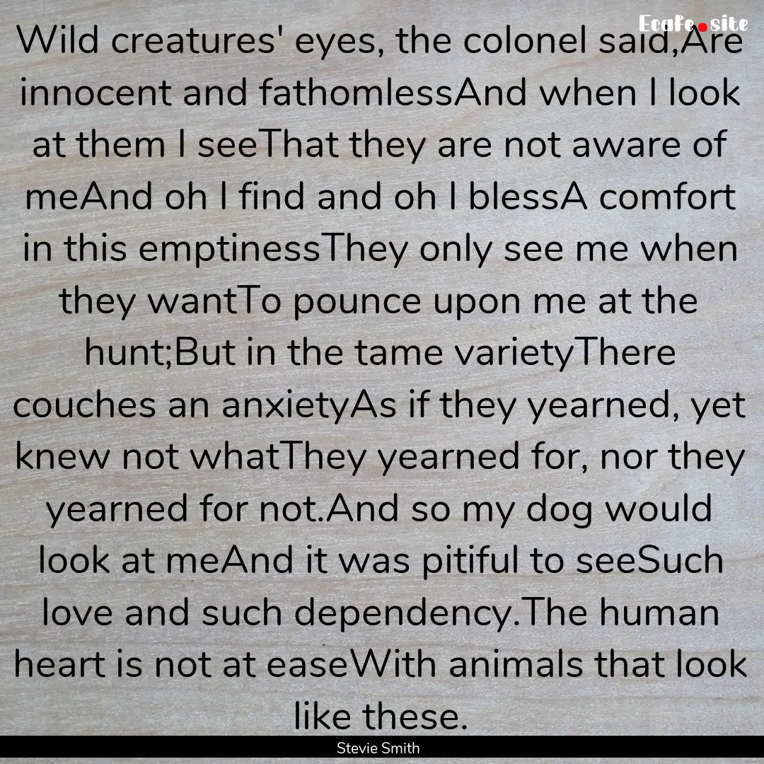 Wild creatures' eyes, the colonel said,Are.... : Quote by Stevie Smith