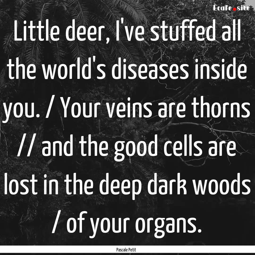 Little deer, I've stuffed all the world's.... : Quote by Pascale Petit