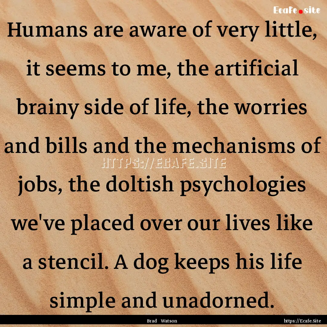 Humans are aware of very little, it seems.... : Quote by Brad Watson