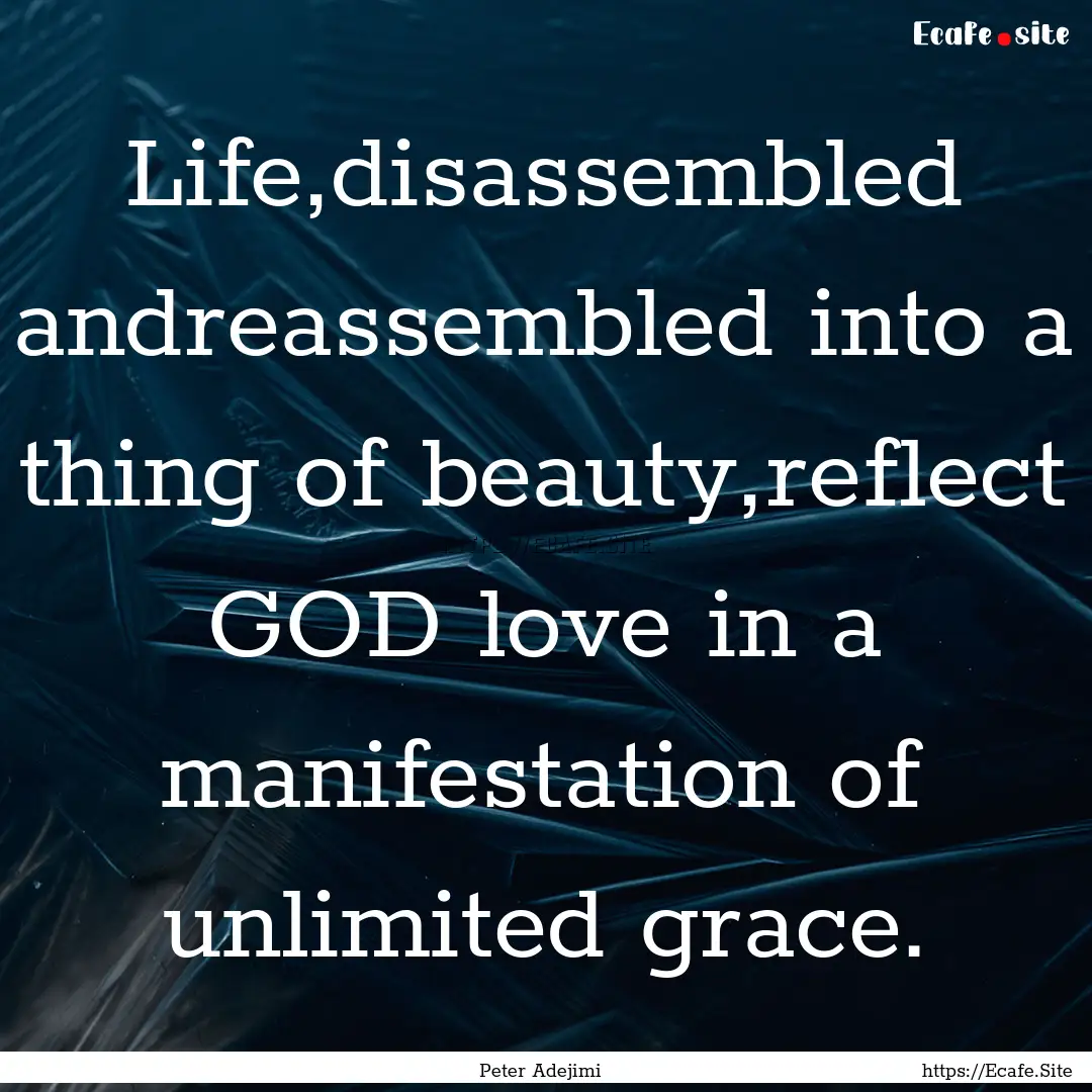 Life,disassembled andreassembled into a thing.... : Quote by Peter Adejimi