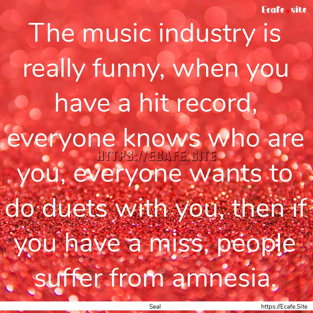 The music industry is really funny, when.... : Quote by Seal