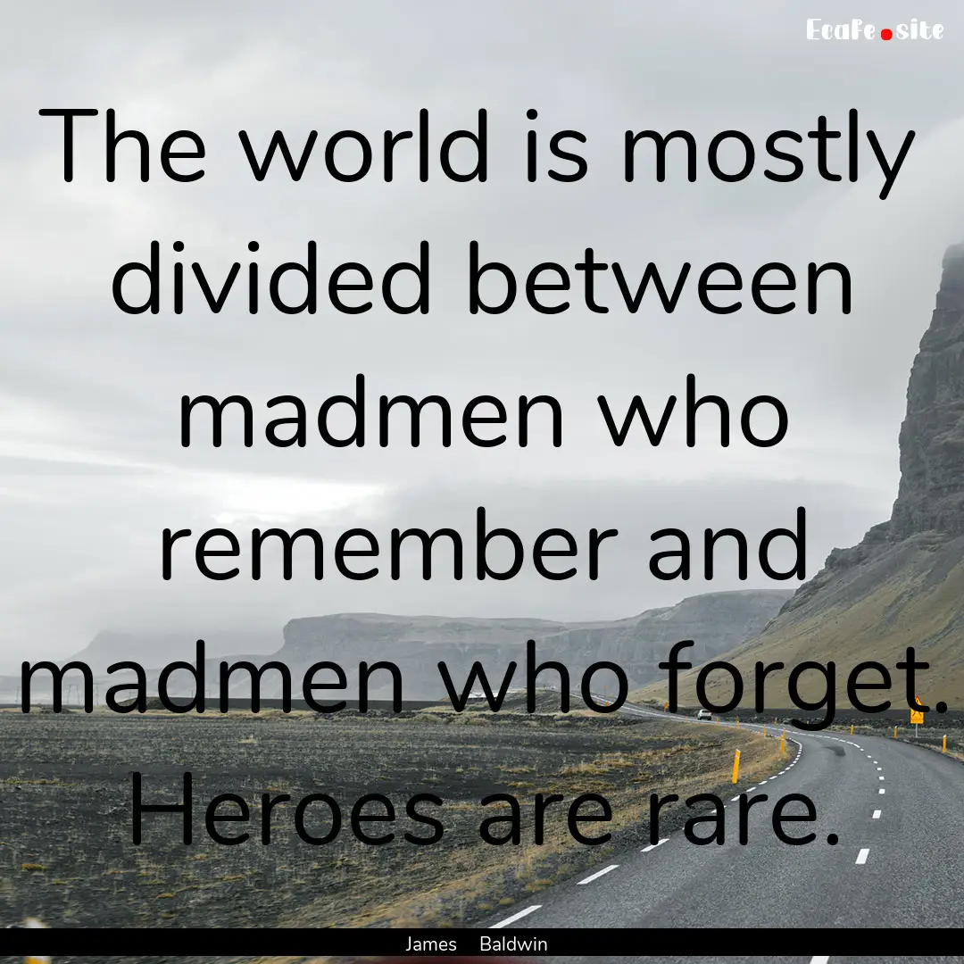 The world is mostly divided between madmen.... : Quote by James Baldwin