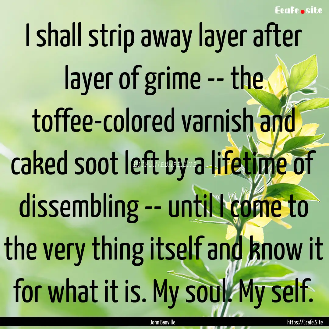 I shall strip away layer after layer of grime.... : Quote by John Banville