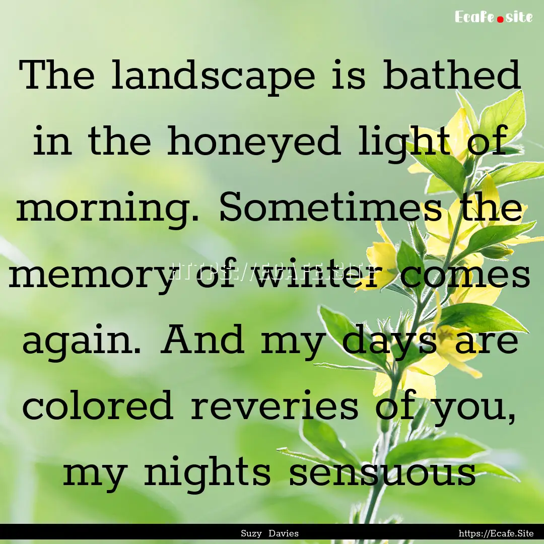 The landscape is bathed in the honeyed light.... : Quote by Suzy Davies