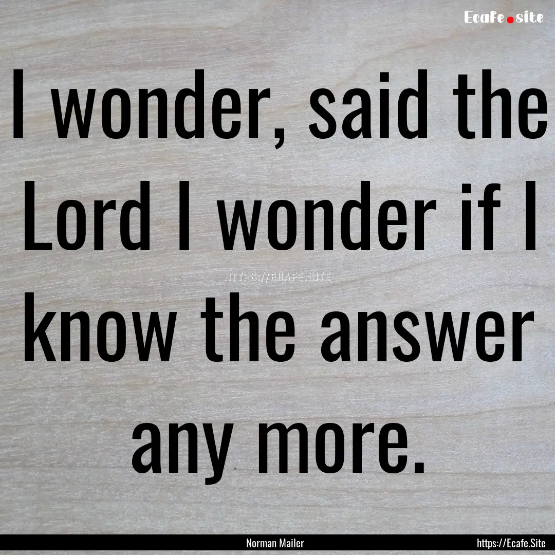 I wonder, said the Lord I wonder if I know.... : Quote by Norman Mailer