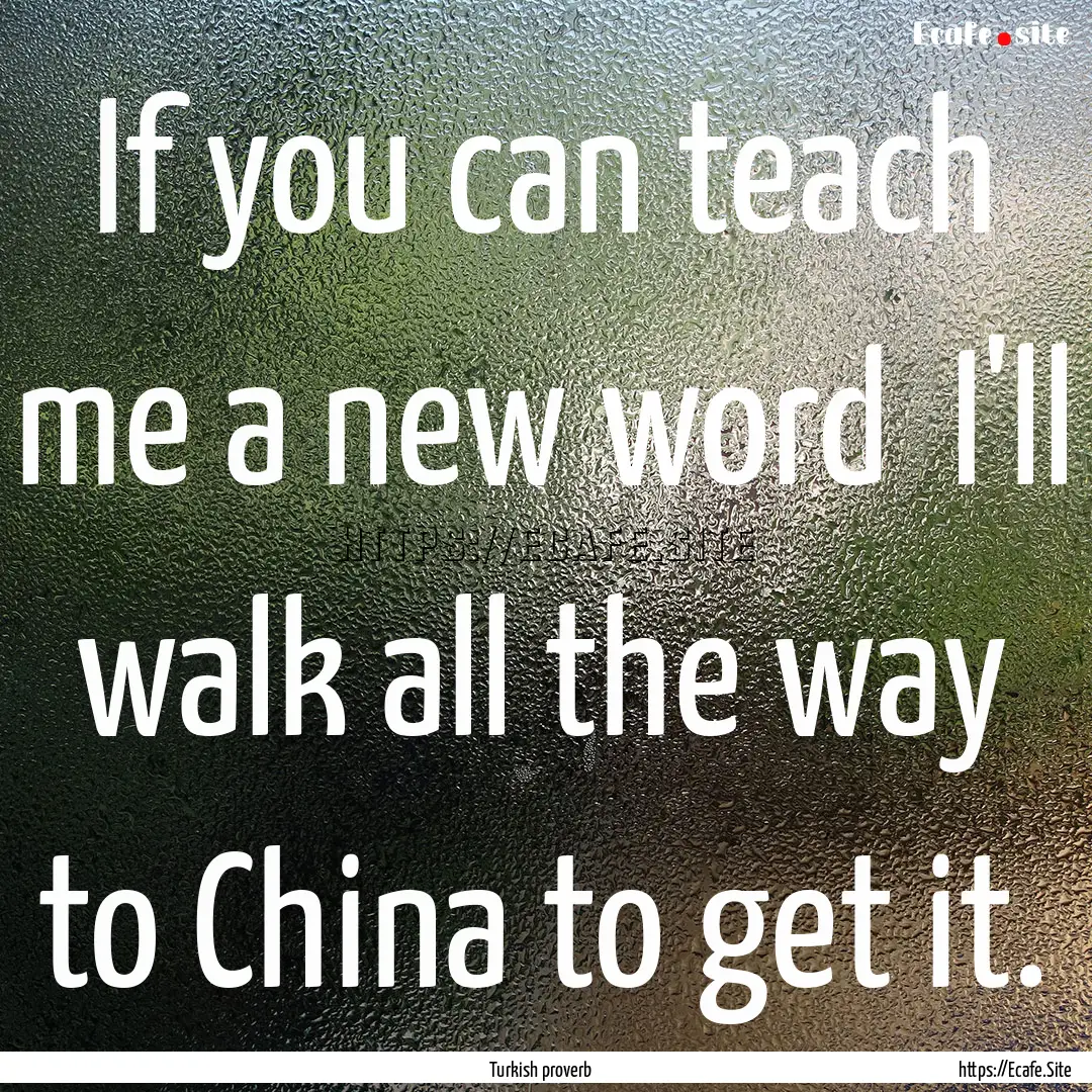 If you can teach me a new word I'll walk.... : Quote by Turkish proverb