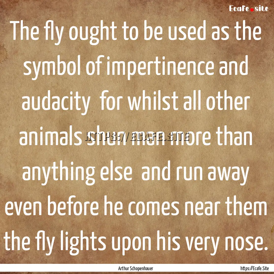 The fly ought to be used as the symbol of.... : Quote by Arthur Schopenhauer