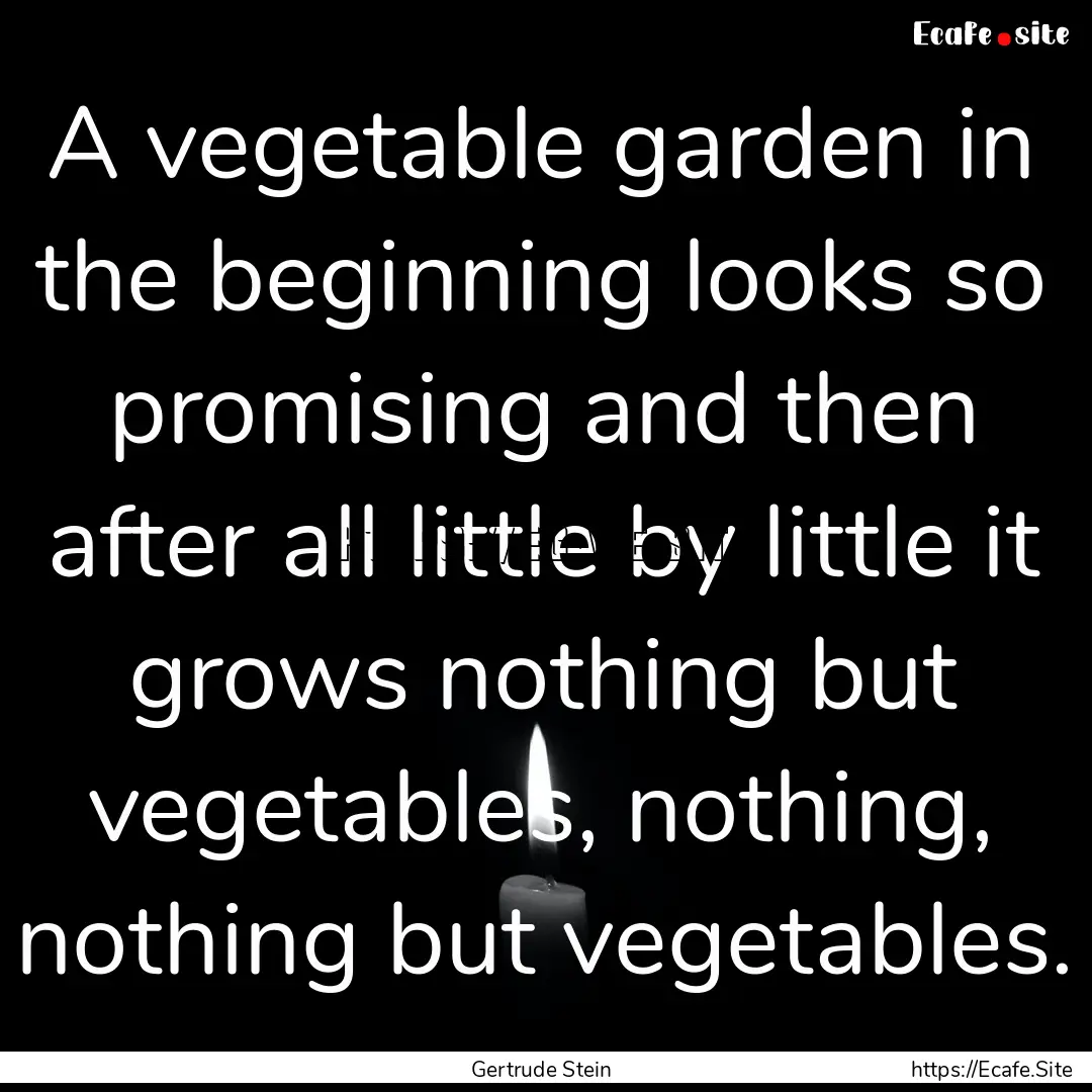 A vegetable garden in the beginning looks.... : Quote by Gertrude Stein