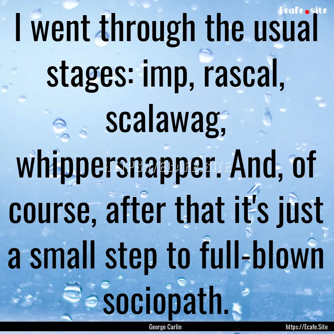 I went through the usual stages: imp, rascal,.... : Quote by George Carlin