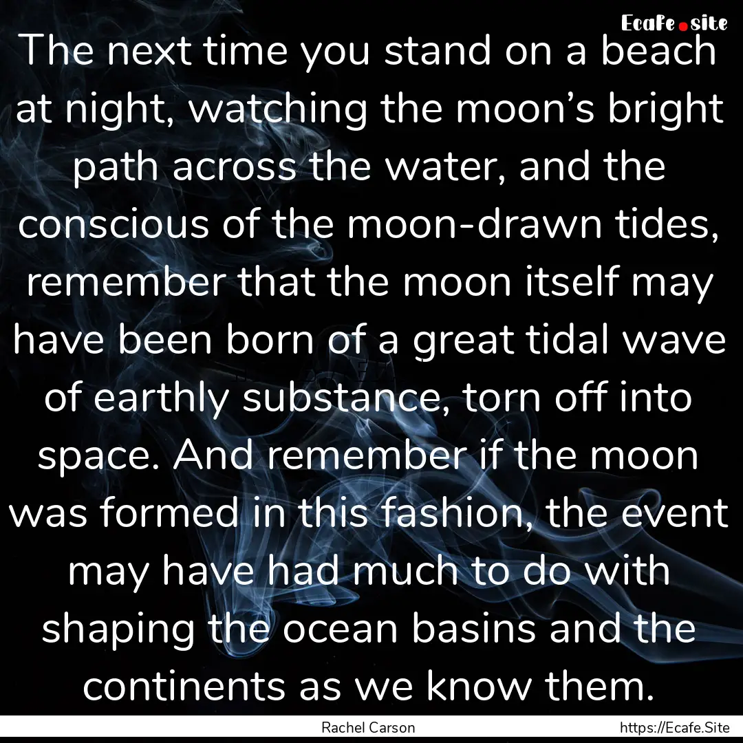 The next time you stand on a beach at night,.... : Quote by Rachel Carson