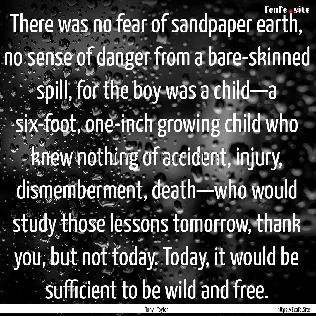 There was no fear of sandpaper earth, no.... : Quote by Tony Taylor