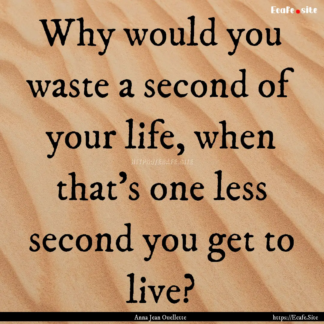 Why would you waste a second of your life,.... : Quote by Anna Jean Ouellette