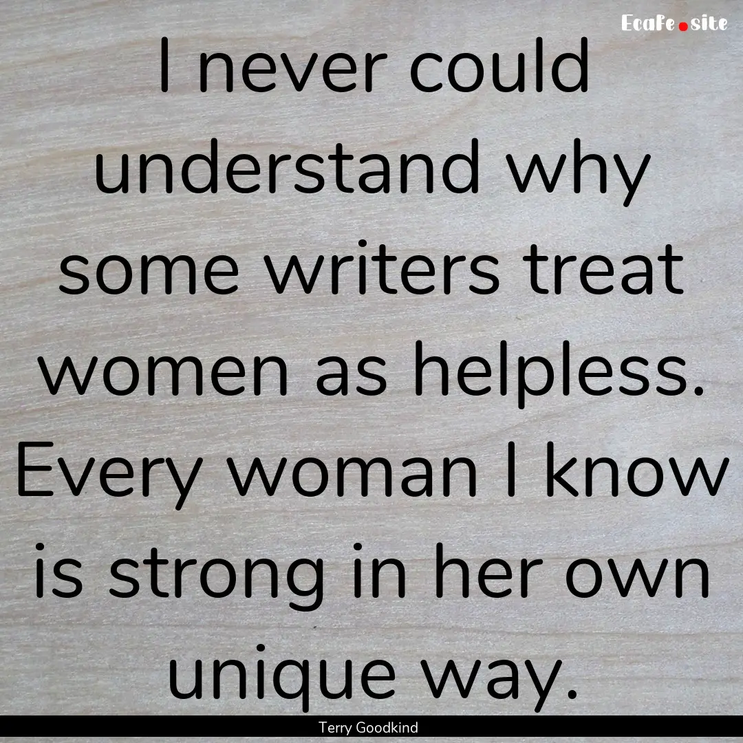 I never could understand why some writers.... : Quote by Terry Goodkind