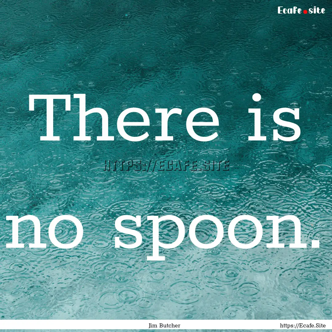 There is no spoon. : Quote by Jim Butcher