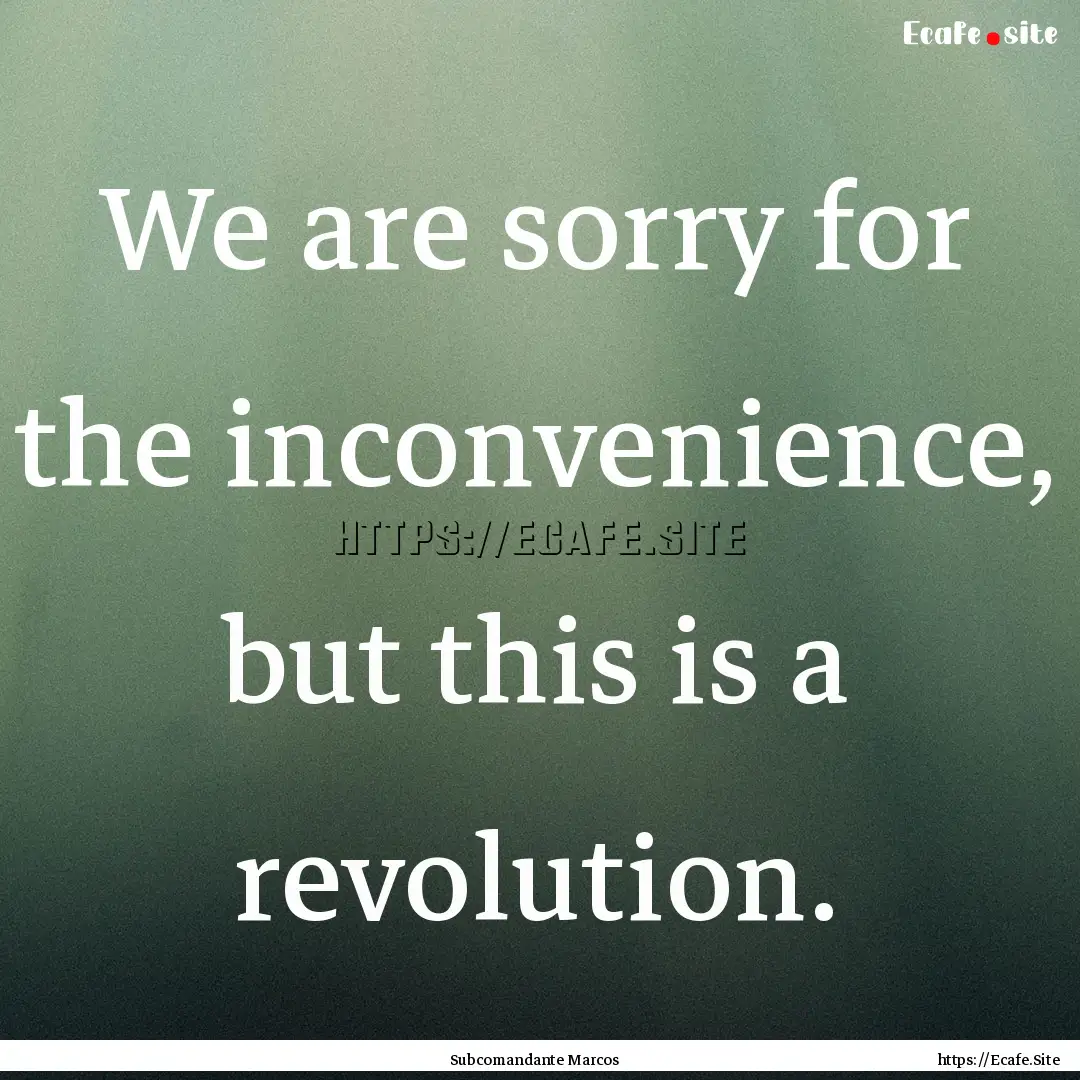 We are sorry for the inconvenience, but this.... : Quote by Subcomandante Marcos