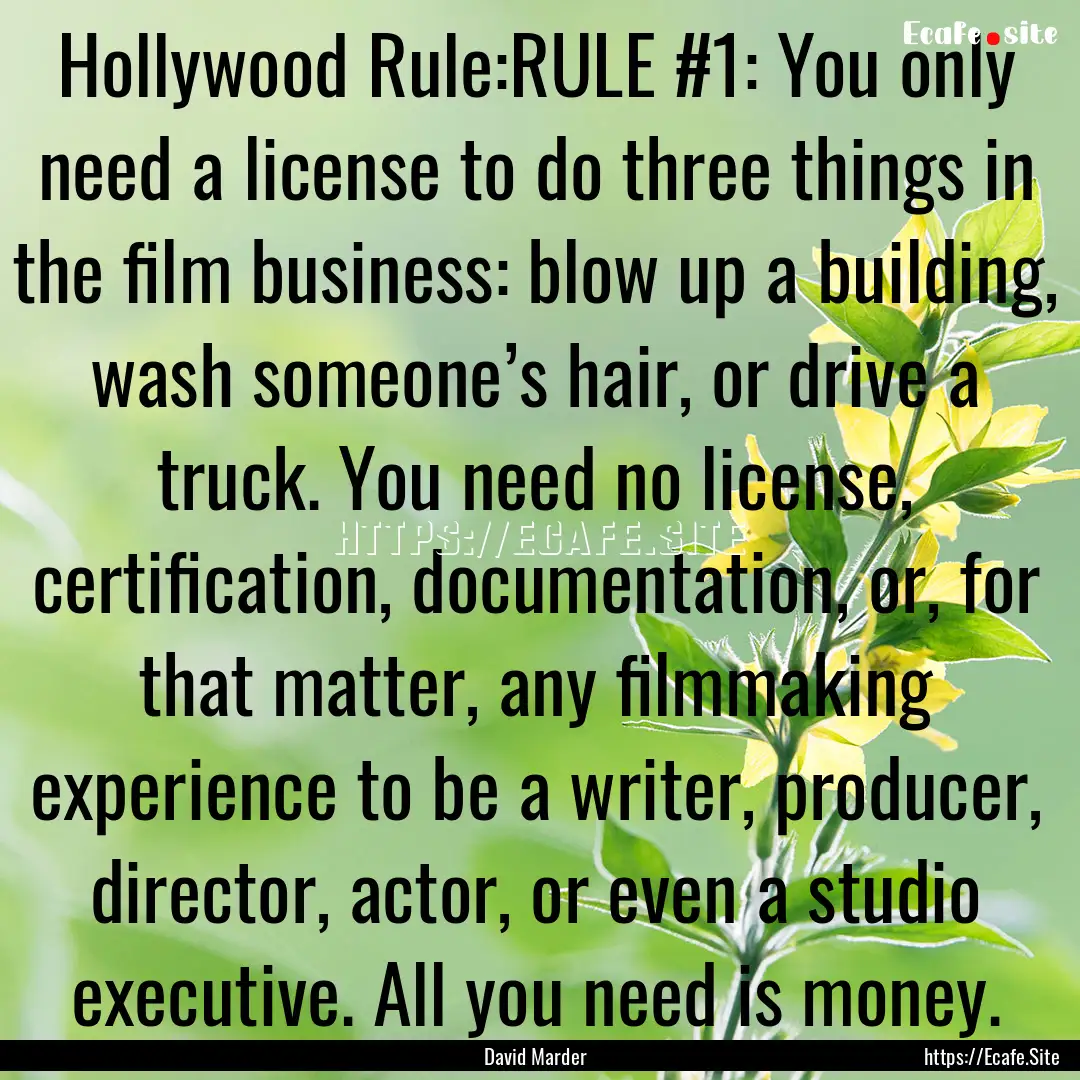 Hollywood Rule:RULE #1: You only need a license.... : Quote by David Marder