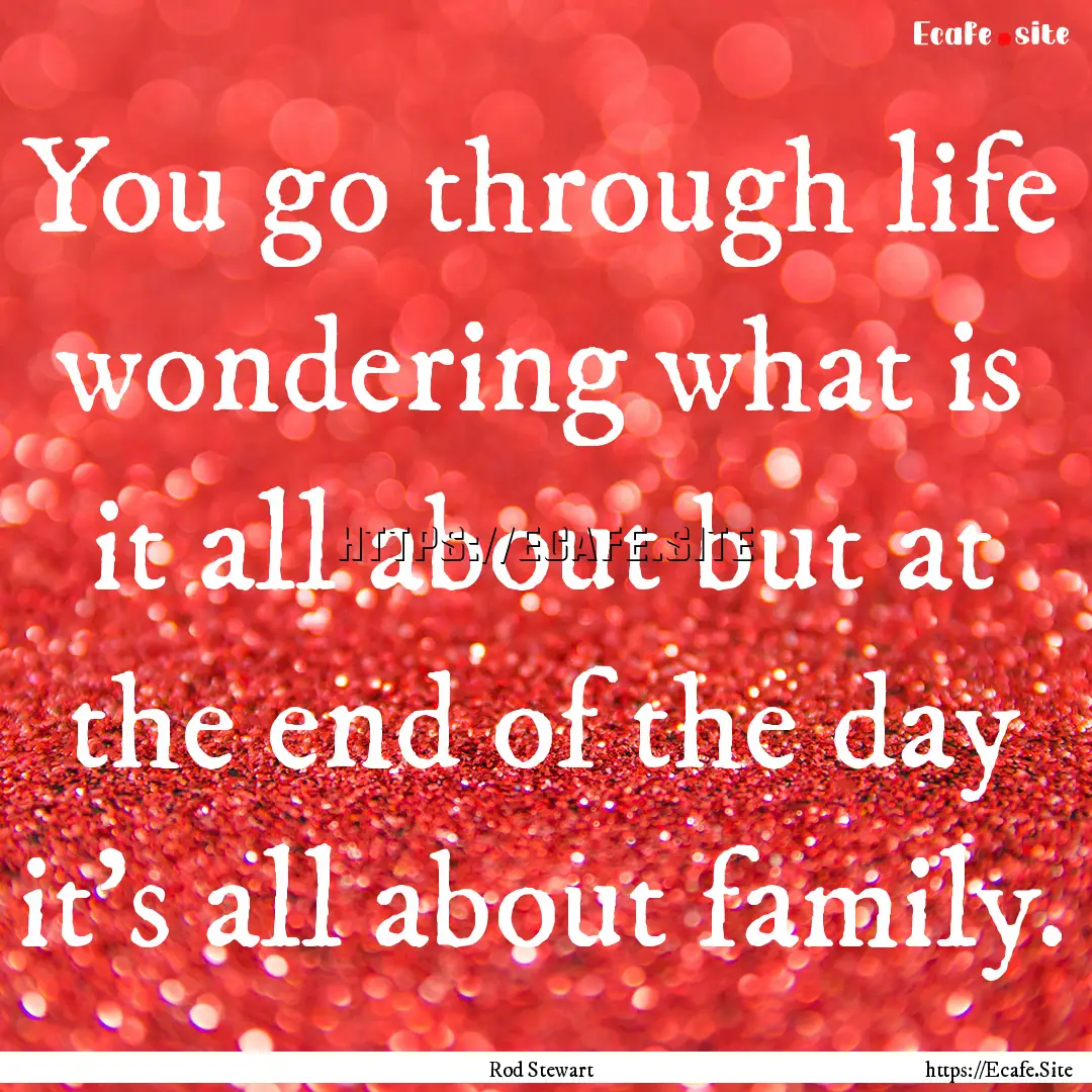 You go through life wondering what is it.... : Quote by Rod Stewart