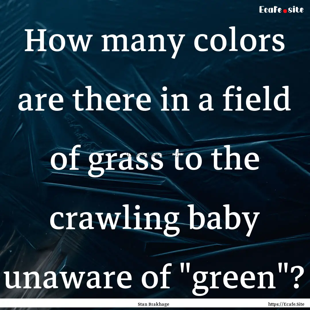 How many colors are there in a field of grass.... : Quote by Stan Brakhage