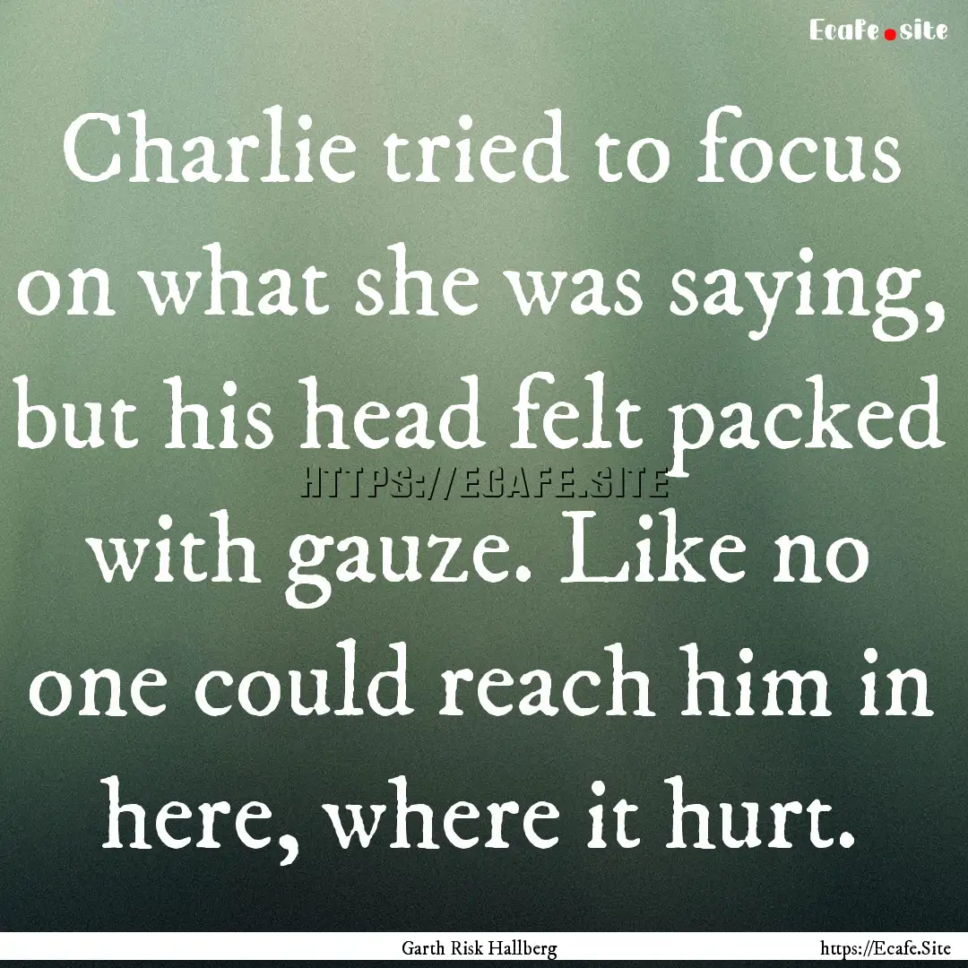 Charlie tried to focus on what she was saying,.... : Quote by Garth Risk Hallberg