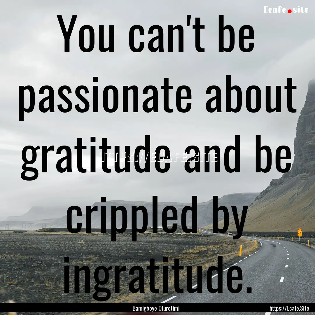 You can't be passionate about gratitude and.... : Quote by Bamigboye Olurotimi