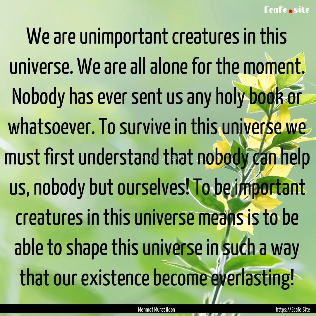 We are unimportant creatures in this universe..... : Quote by Mehmet Murat ildan