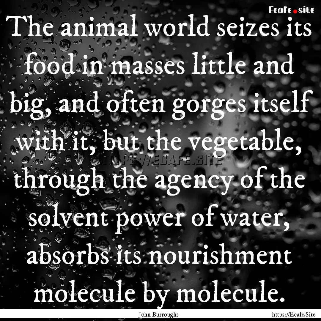 The animal world seizes its food in masses.... : Quote by John Burroughs